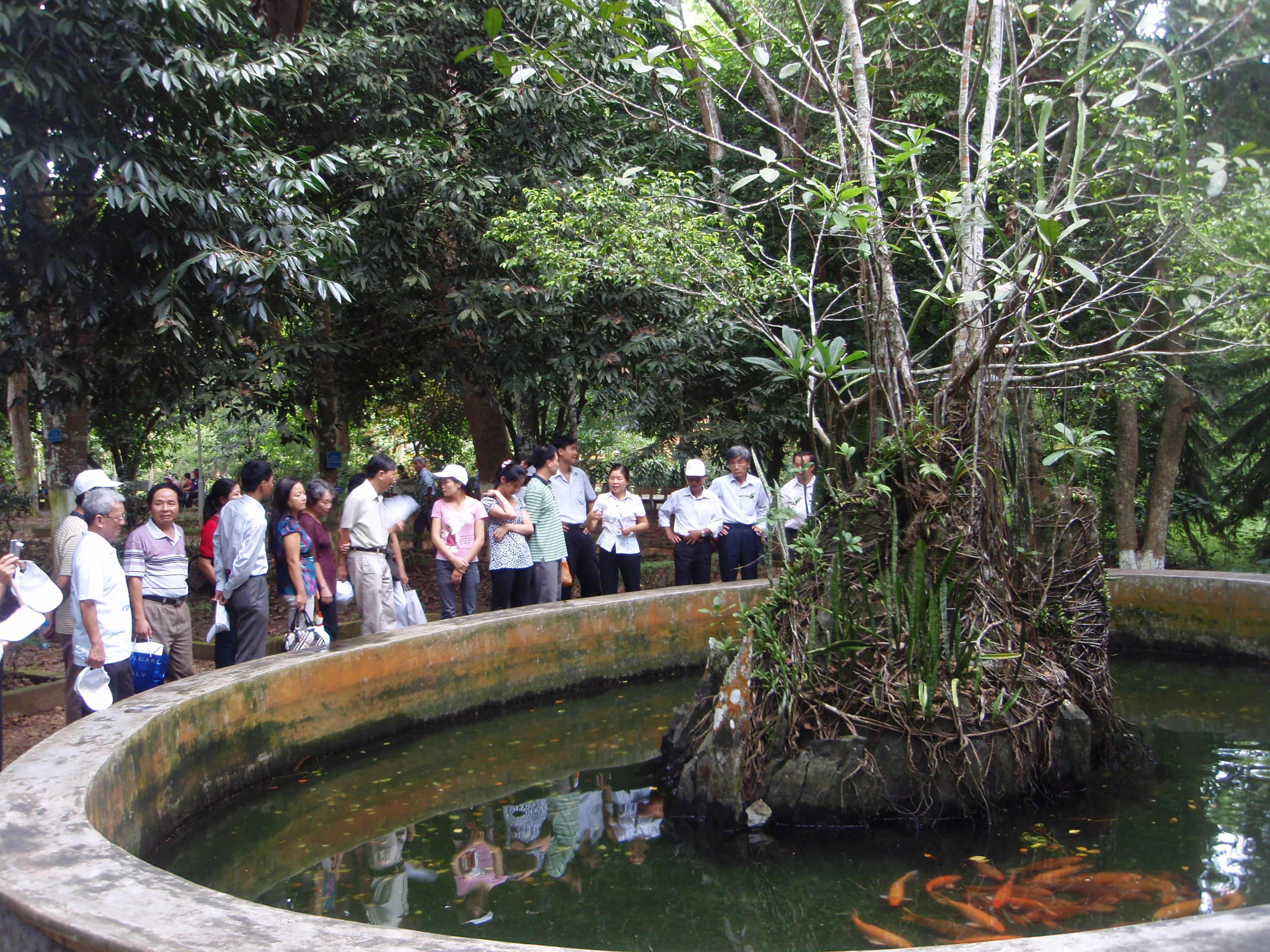 le tuyen the|dich thuat